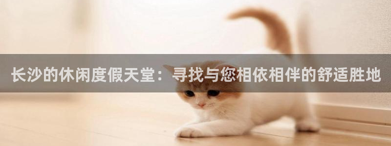 163am银河官网