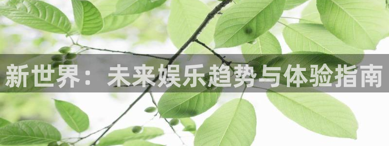 yh银河官网