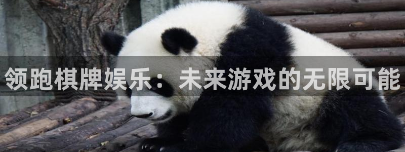 银河官网下载