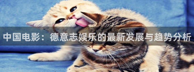 新银河官网