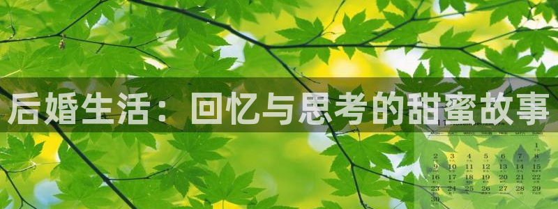 银河官网入口登录