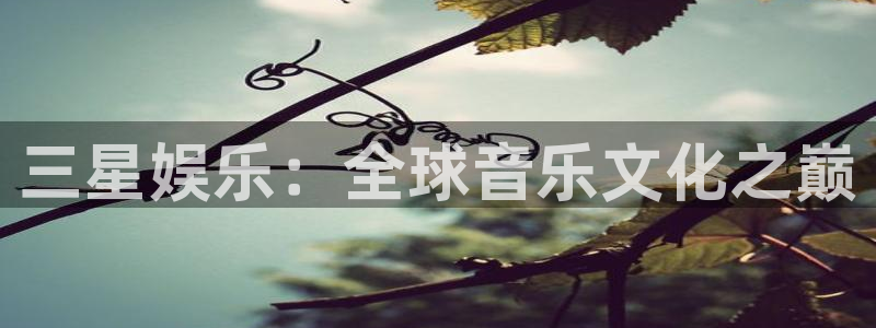 金银河官网