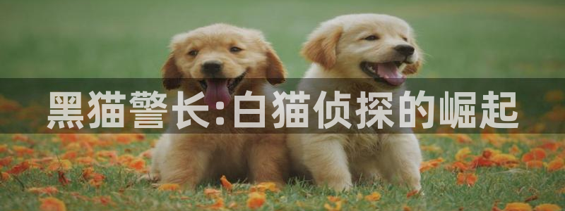 35uam银河官网